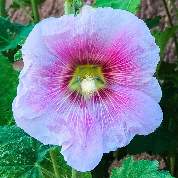 Meet your Posher, K - Picture 1 of 1